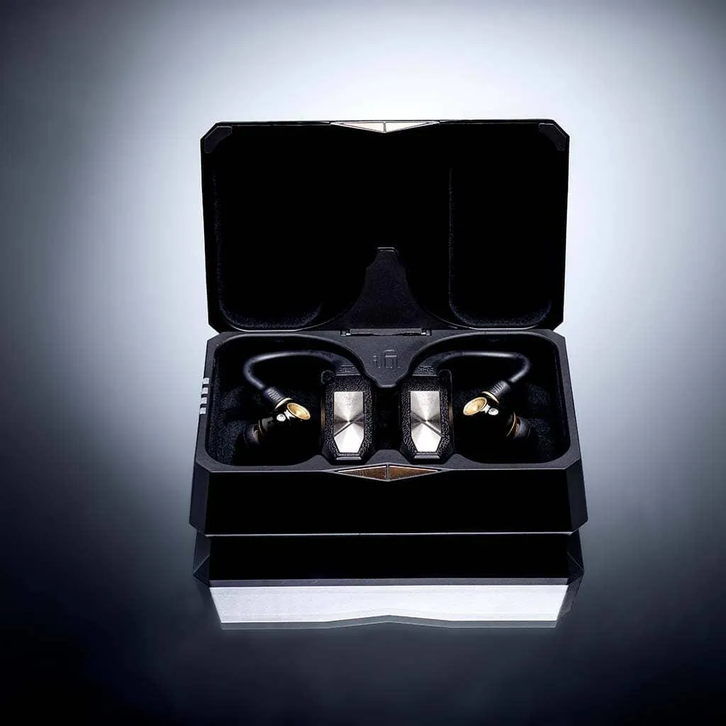 iFi Audio GO Pod