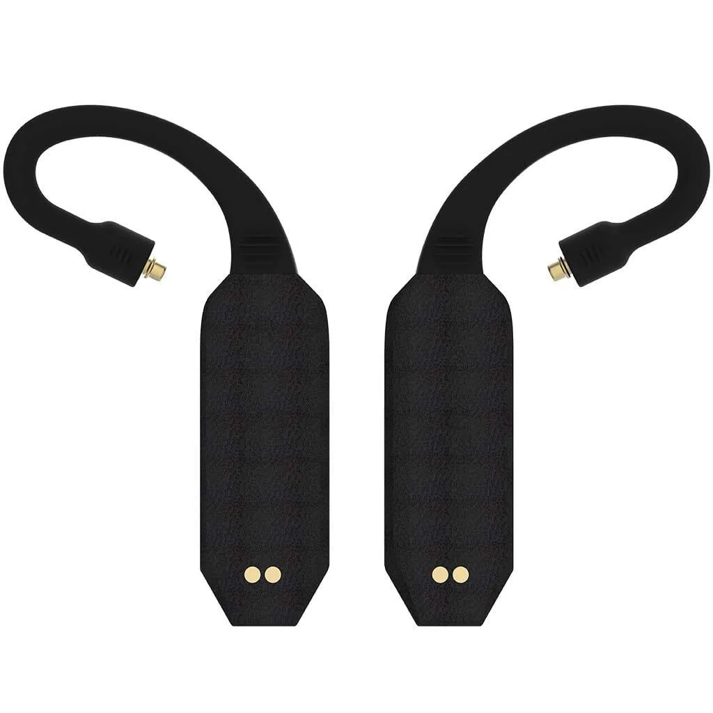iFi Audio GO Pod