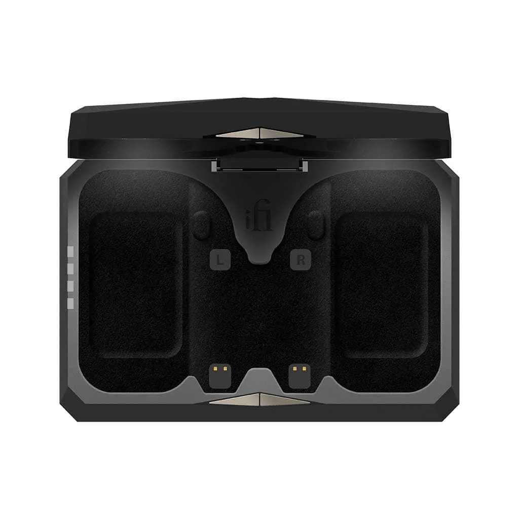 iFi Audio GO Pod