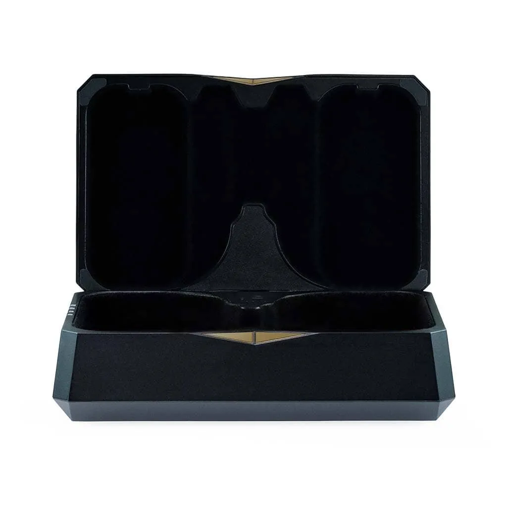 iFi Audio GO Pod
