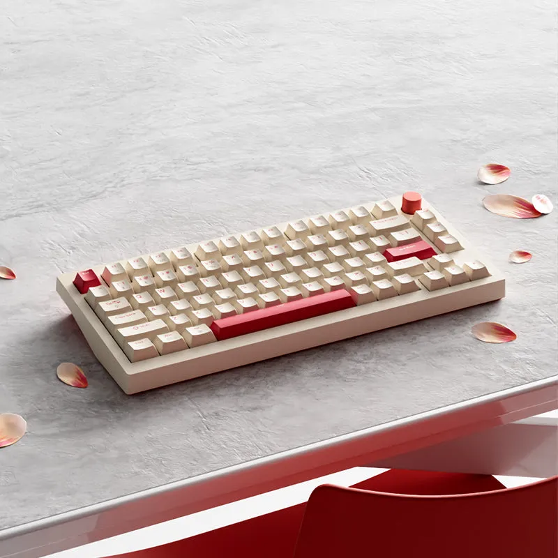 JAMESDONKEY A3 Gasket Mechanical Keyboard