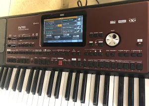 Korg Pa700 61 Key Professional Arranger Keyboard