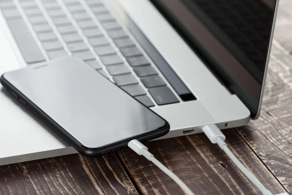 Type-c To Lightning Cable Q-SJ2